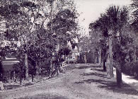 Spring Boulvard - c 1920s