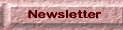 Newsletter Button