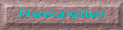 Newsletter Button