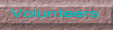 Volunteer Button